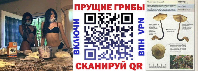 Купить закладки  Миасс  Галлюциногенные грибы прущие грибы 