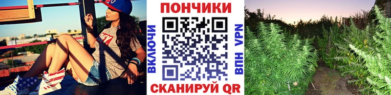 Купить закладки  Миасс  Бошки Шишки гибрид 